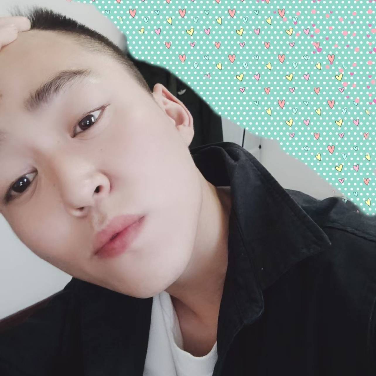 无奈爱大象的照片