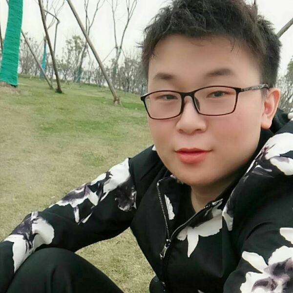 踏实蚂蚁的照片