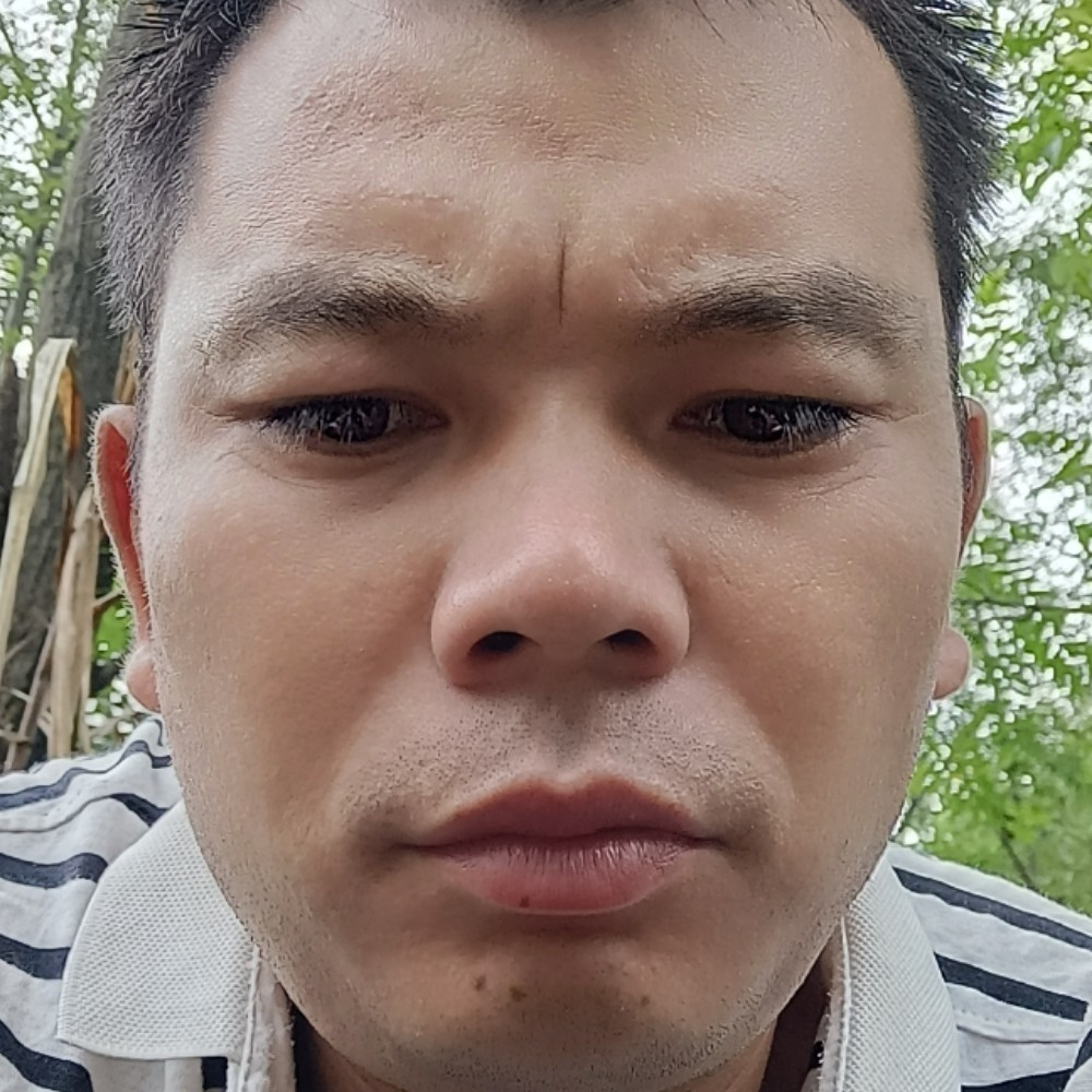 银耳汤漫步烂漫的照片