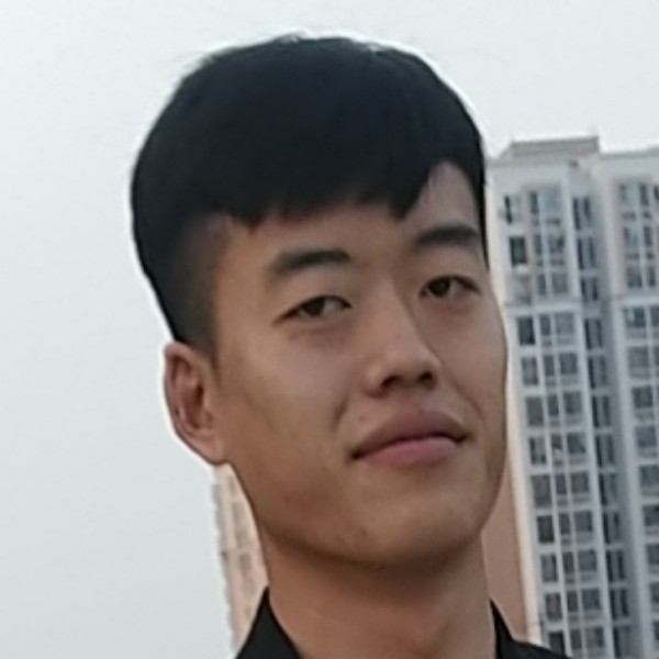 自然放弃猎豹的照片