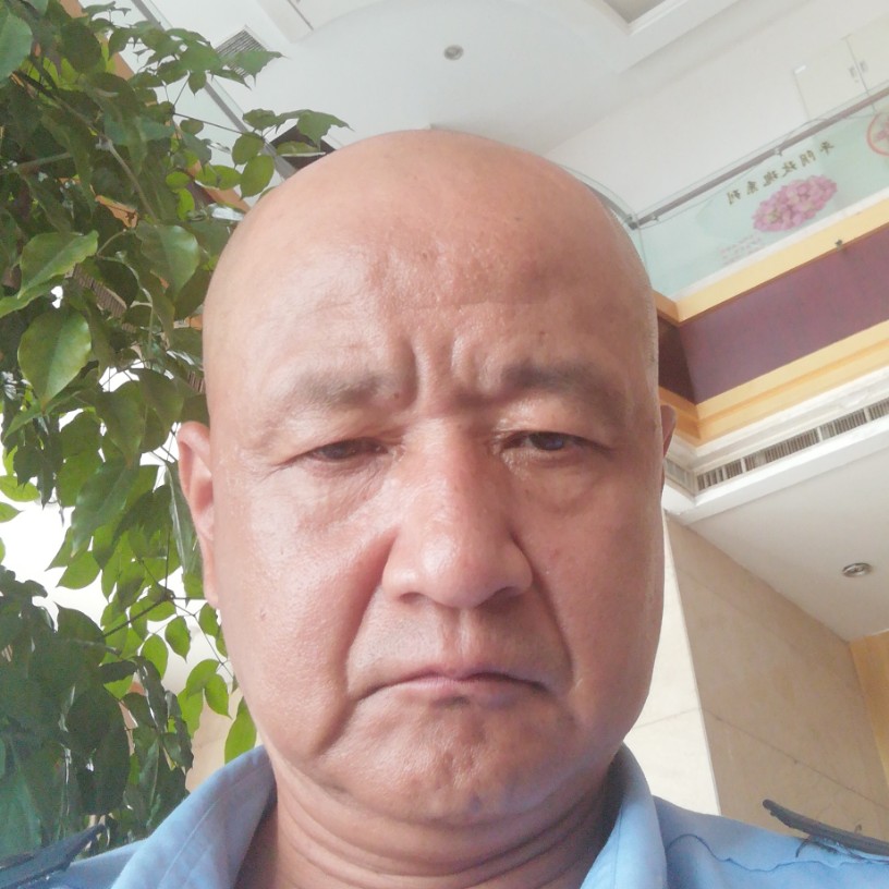 金鱼相许跳跃的照片