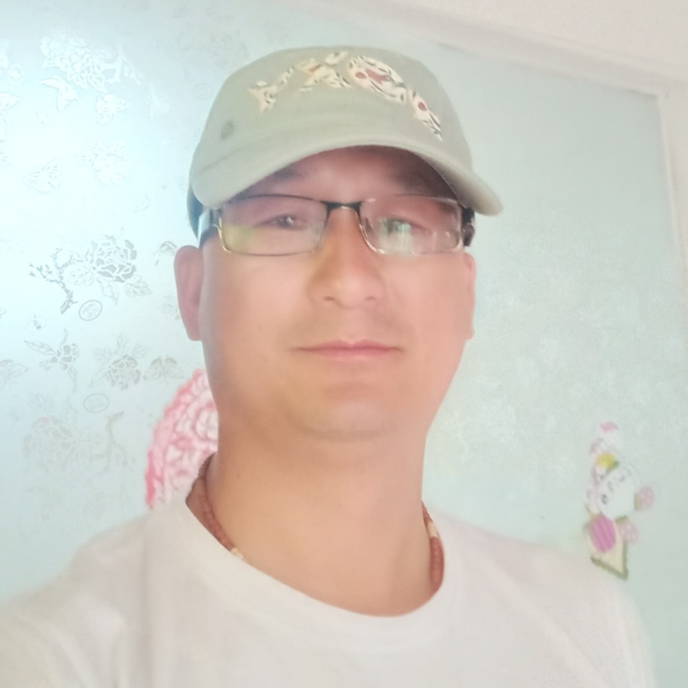 沙里的鱼的照片