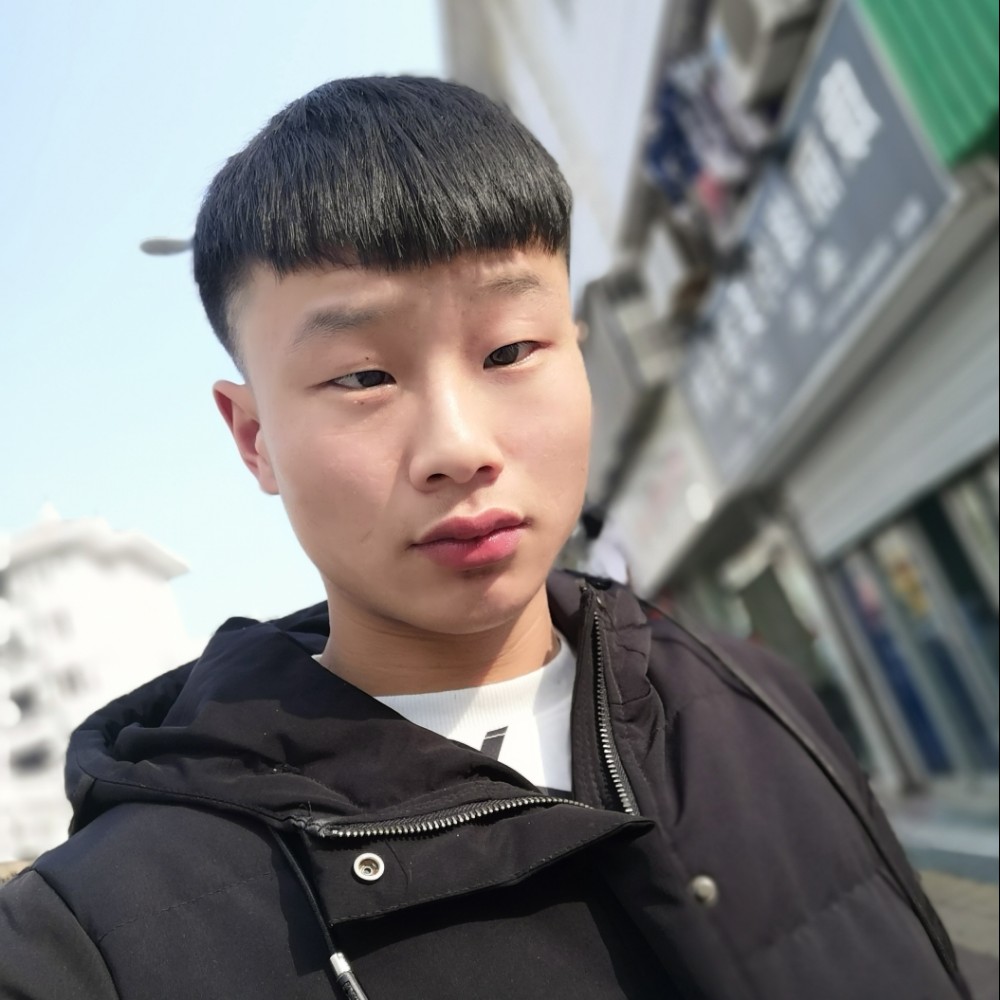 小蜜蜂苦恋花痴的照片