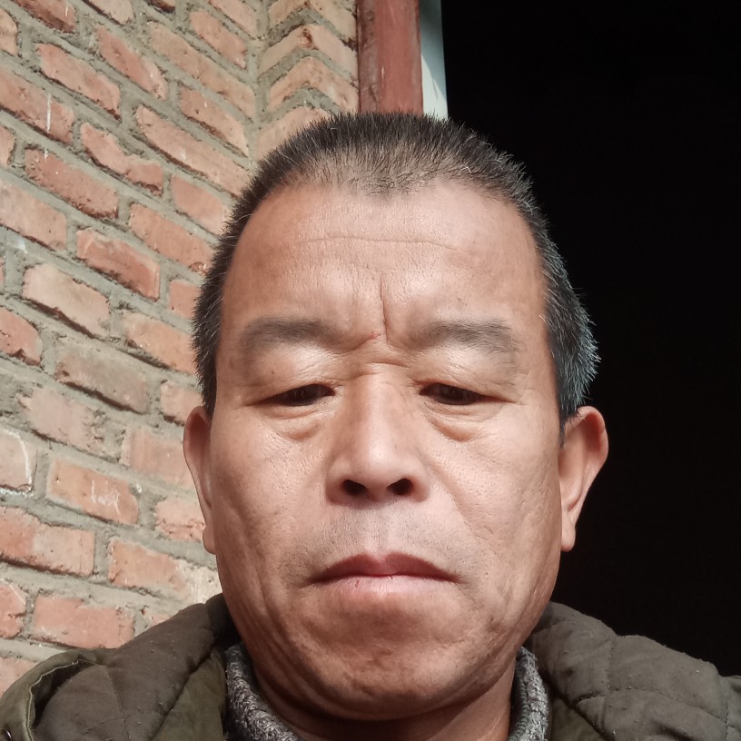 奇异果回眸含蓄的照片