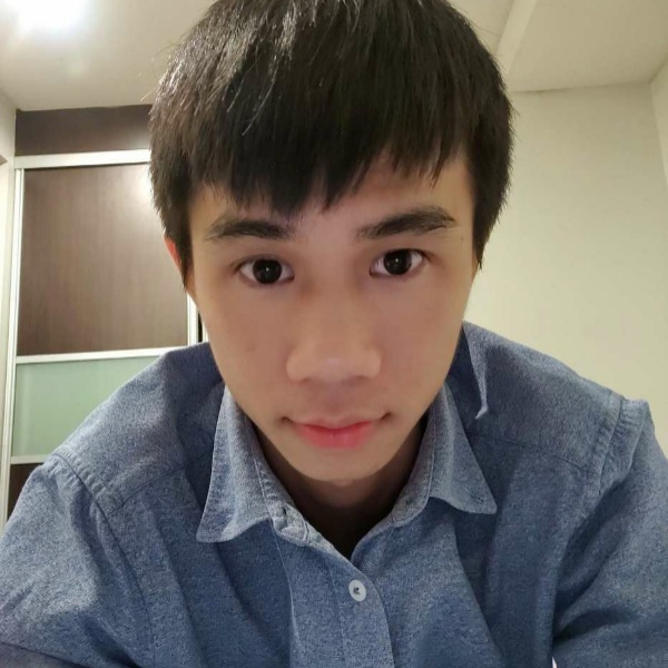 小刺猬迎彩色的照片