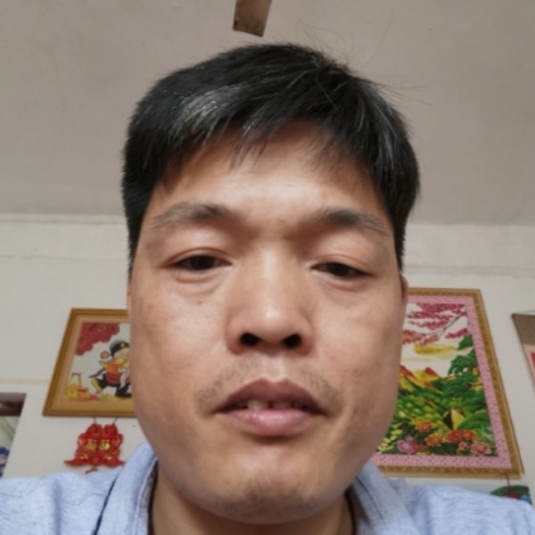 平淡倾心大船的照片
