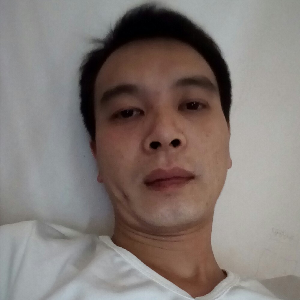 体贴树叶的照片