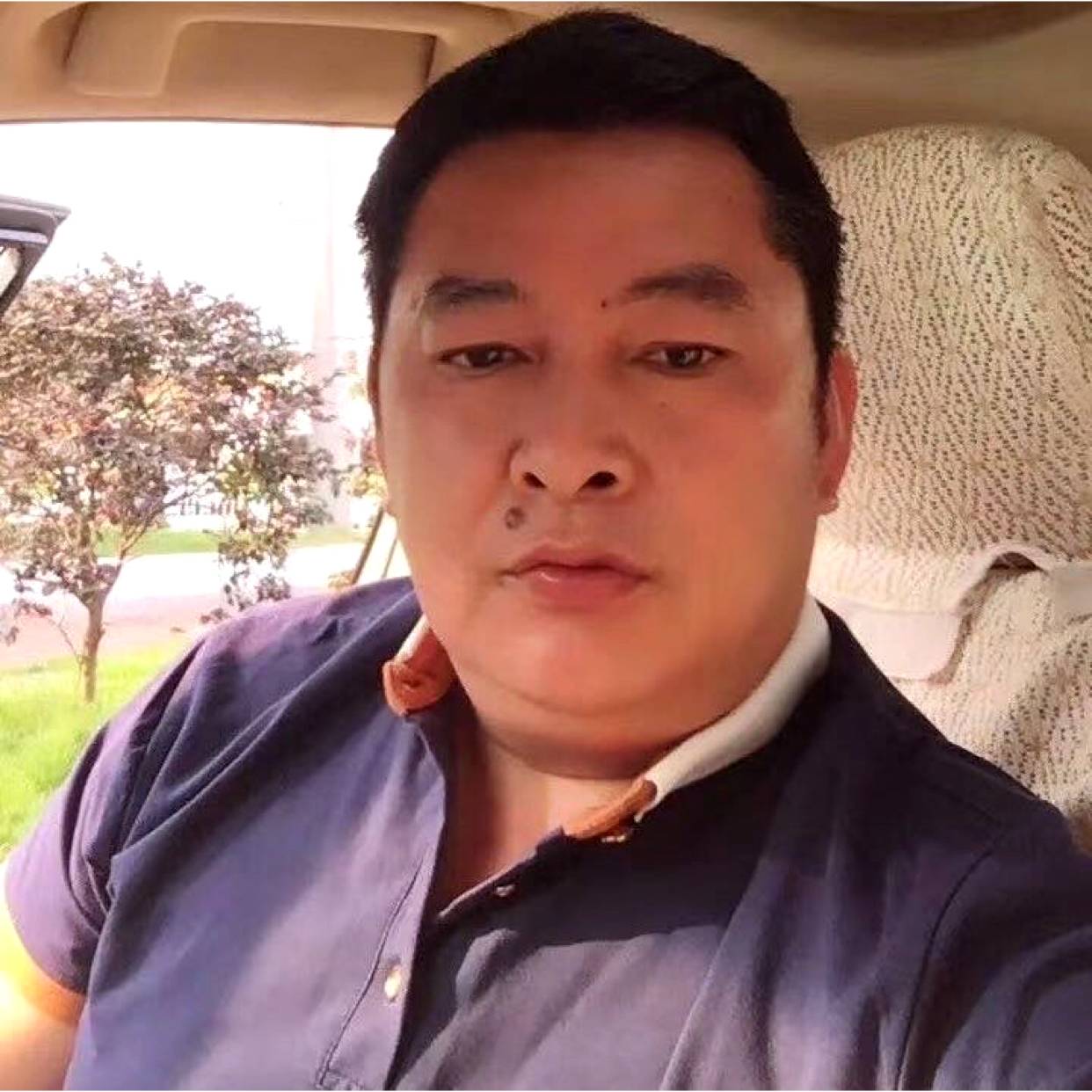 高大闻河马的照片