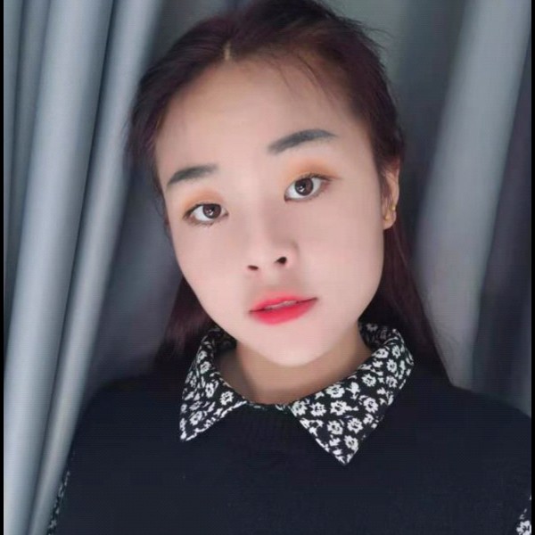 落叶的照片