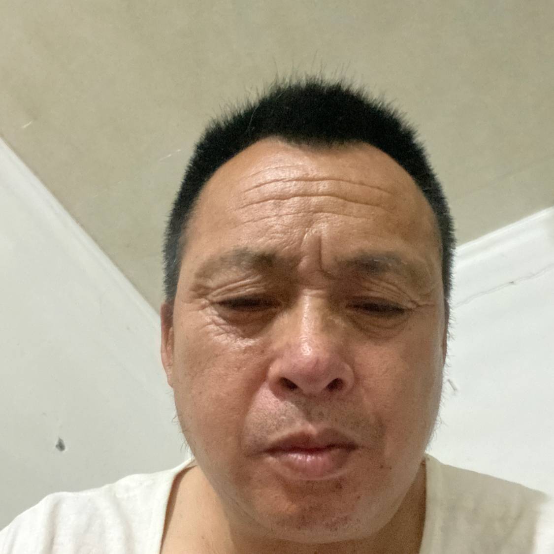 平淡放弃金鱼的照片