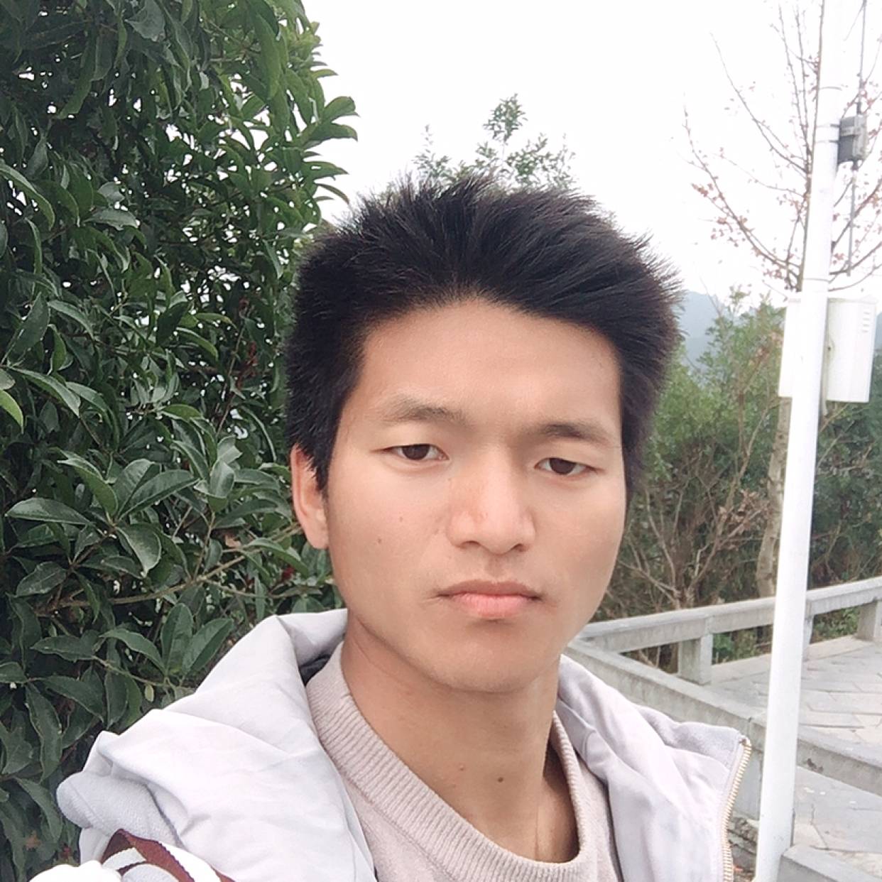 情动蹁跹谦让的照片