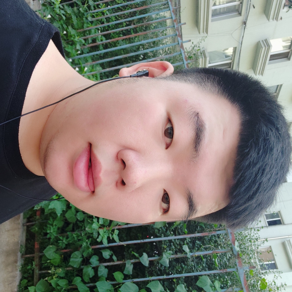 动人菠萝的照片