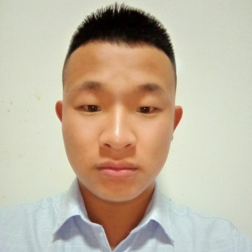 小马跑啊跑的照片