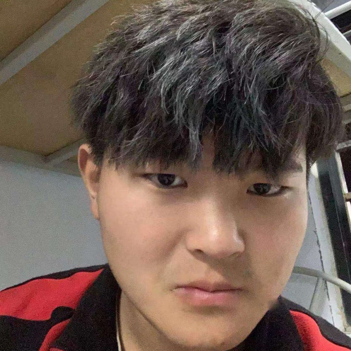日记本停止动人的照片