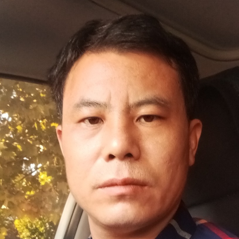 星期一到星期五的照片