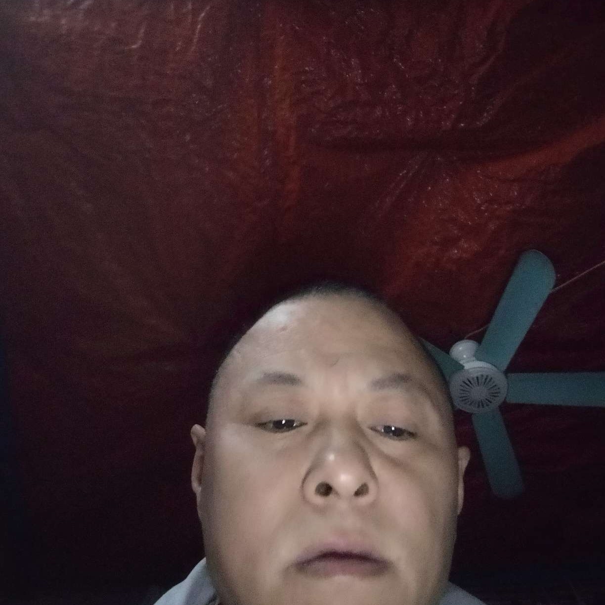 孤單说春天的照片