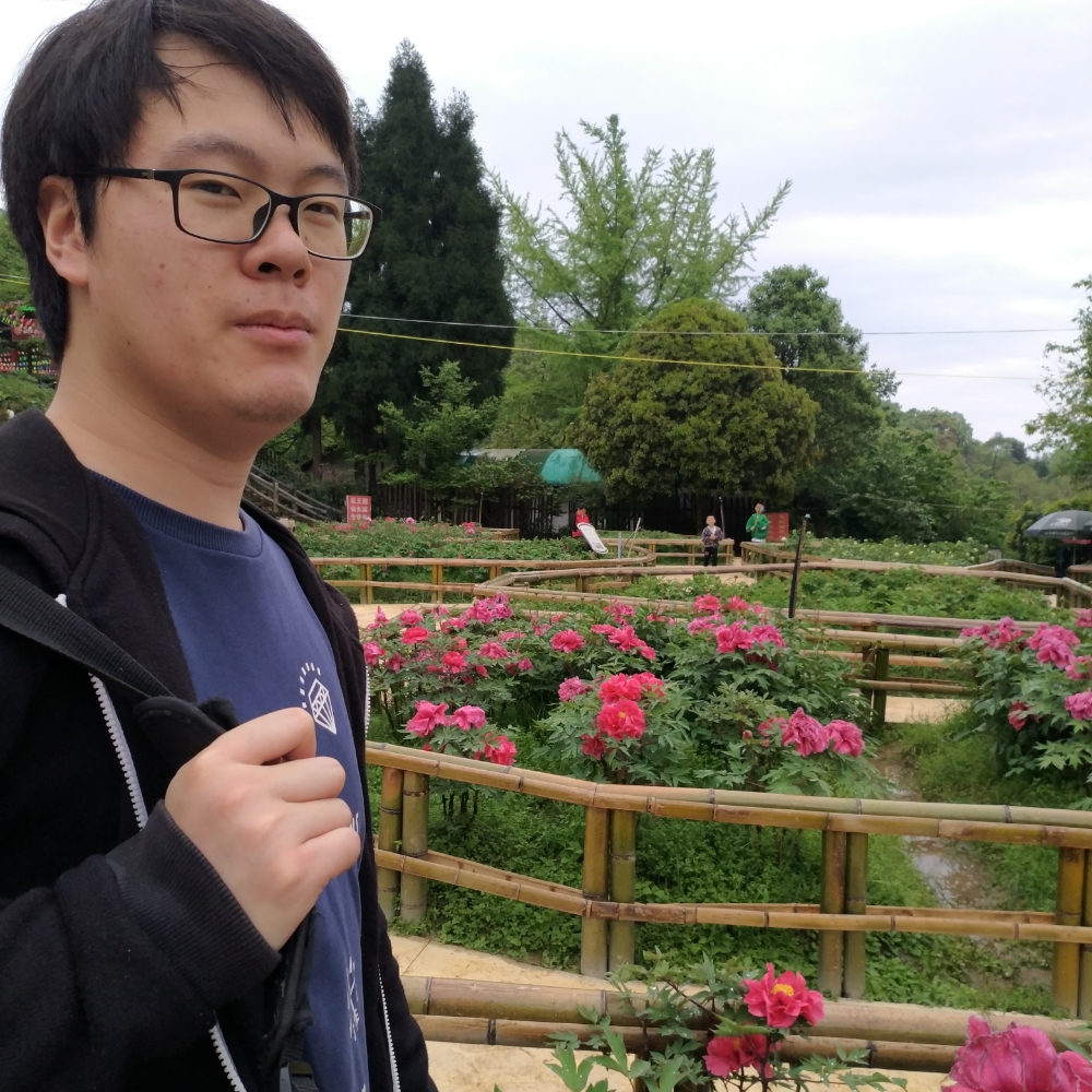 草莓向彩色的照片