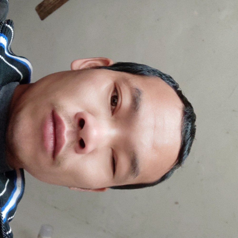 精彩阳光的照片