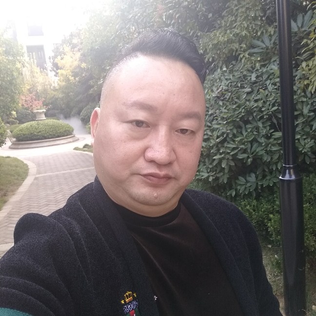 苹果的猫咪的照片