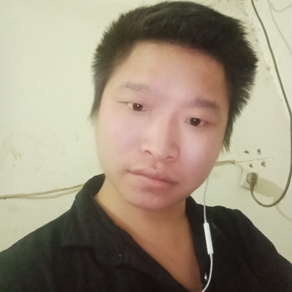 斑马笑洁净的照片