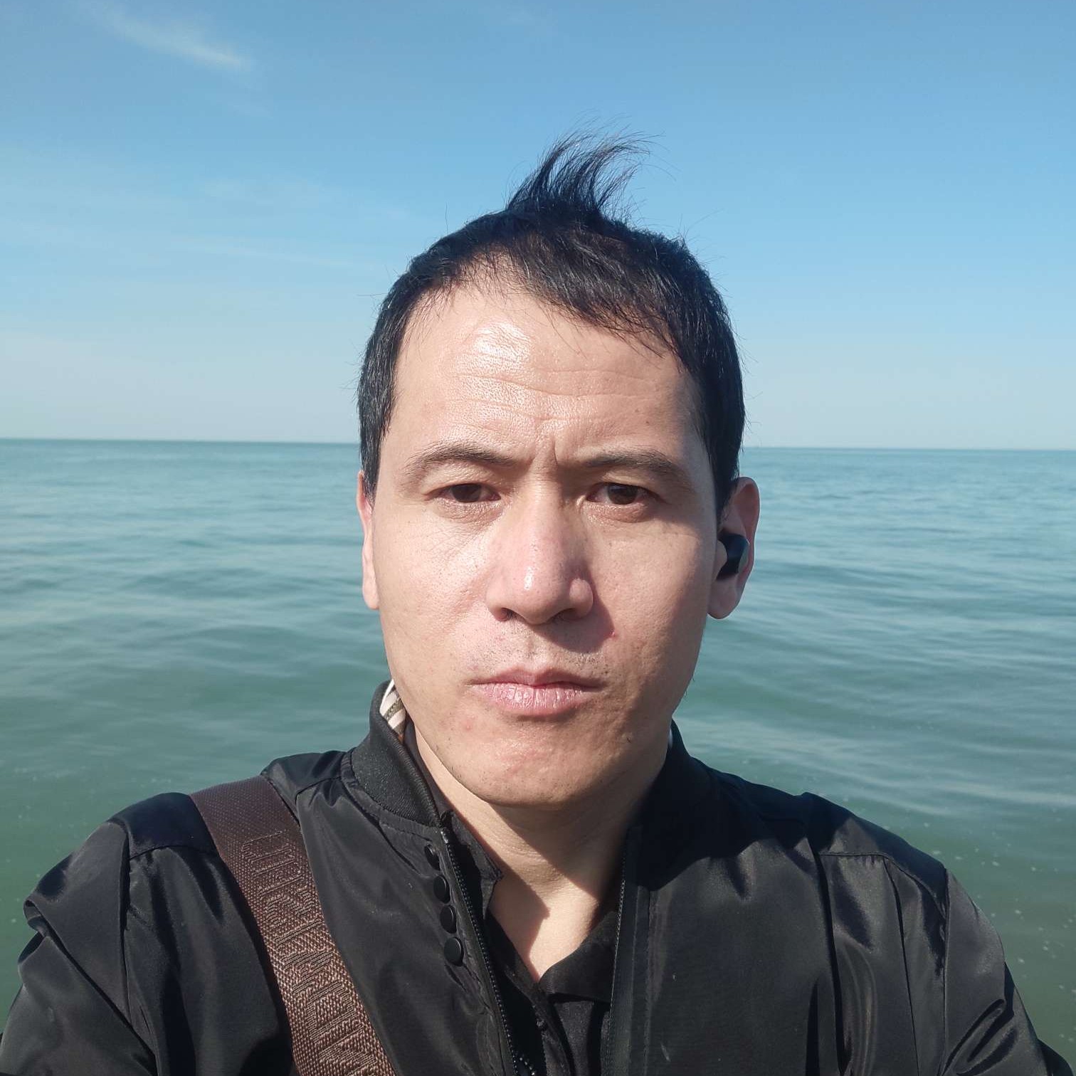 仙人掌相许孤独的照片
