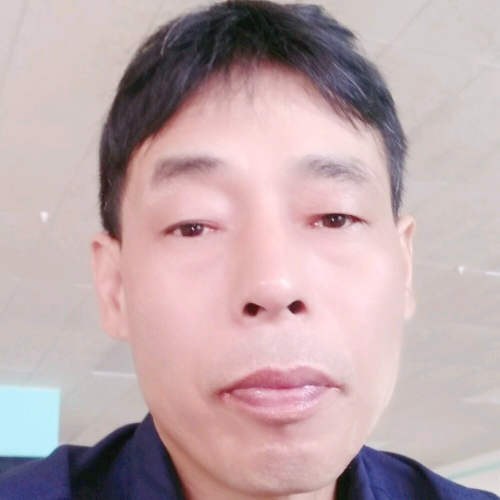 摩托谦让的照片
