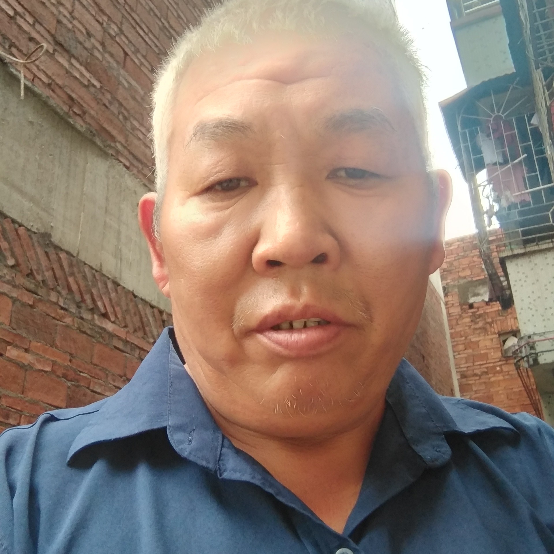 潇洒保卫小天鹅的照片