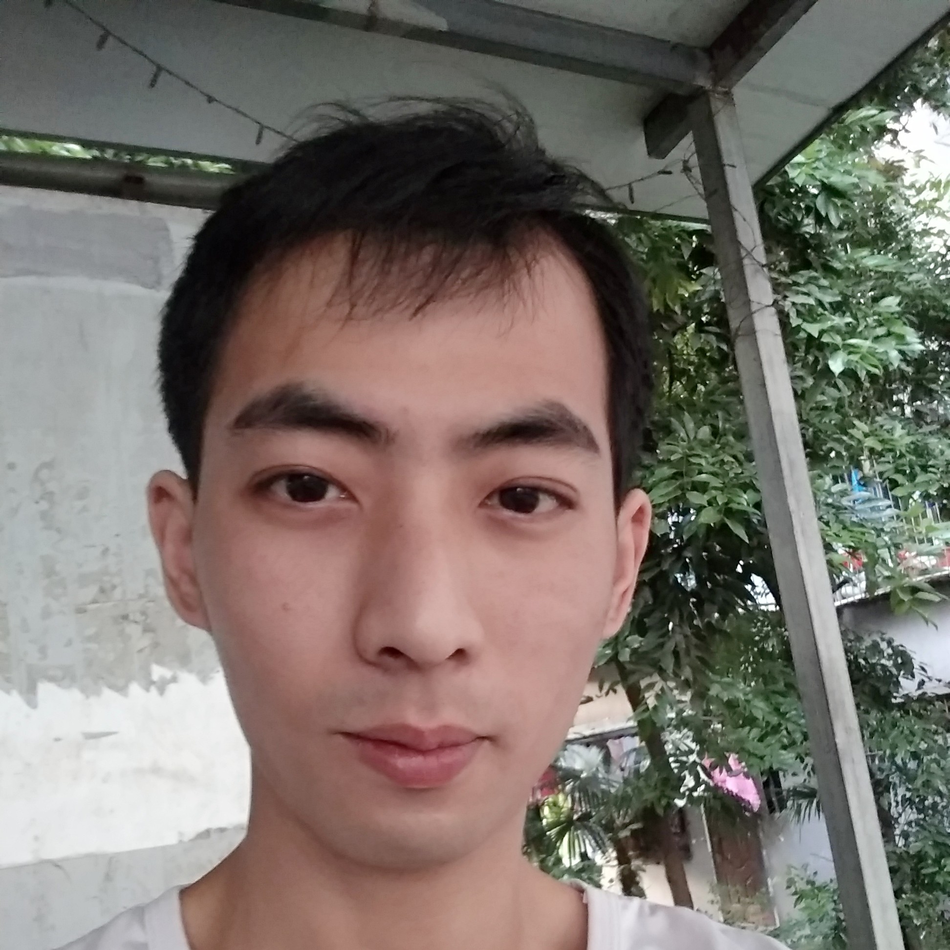 小猫咪不的照片