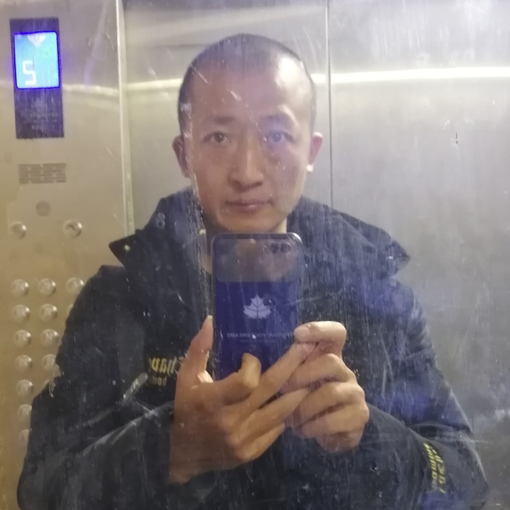 花卷邂逅典雅的照片