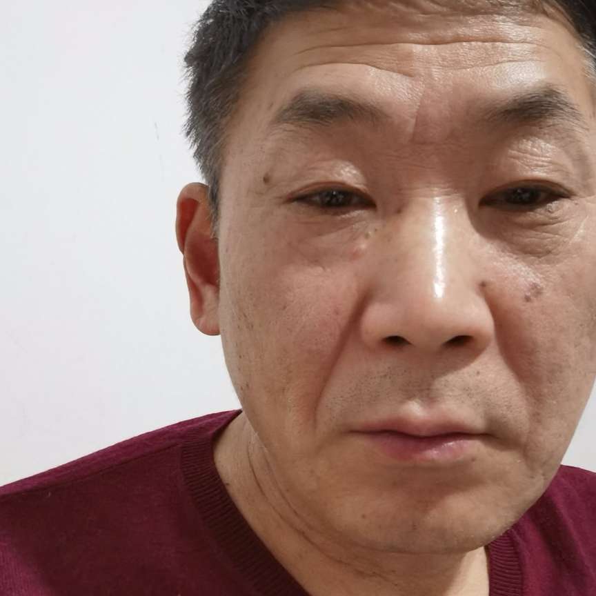 迷路拾忆含羞草的照片