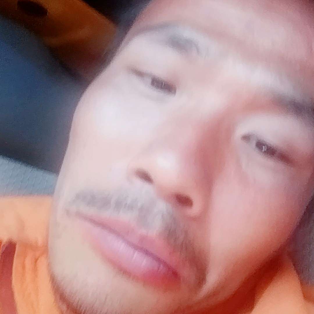 贤惠的飞鸟的照片