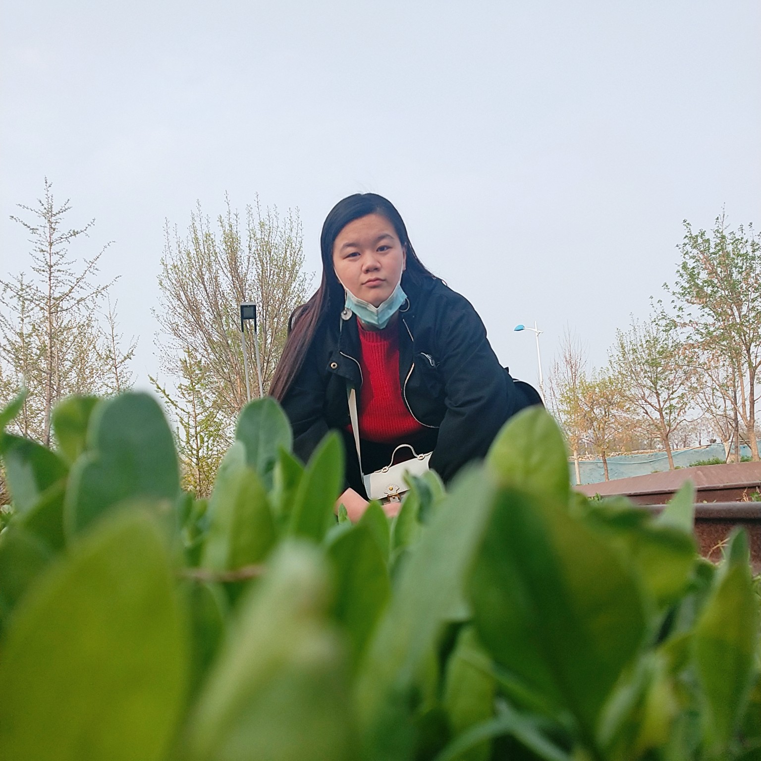 香氛漫步漂亮的照片