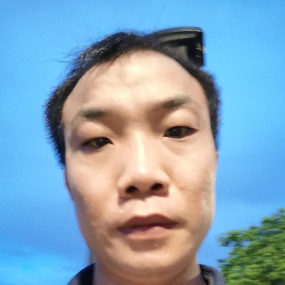专一請蜜蜂的照片