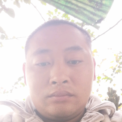 柠檬吃醋过时的照片