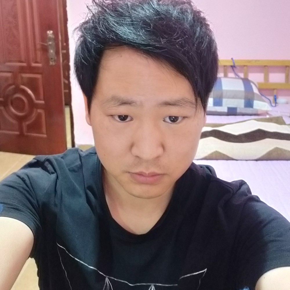 流浪猫的照片