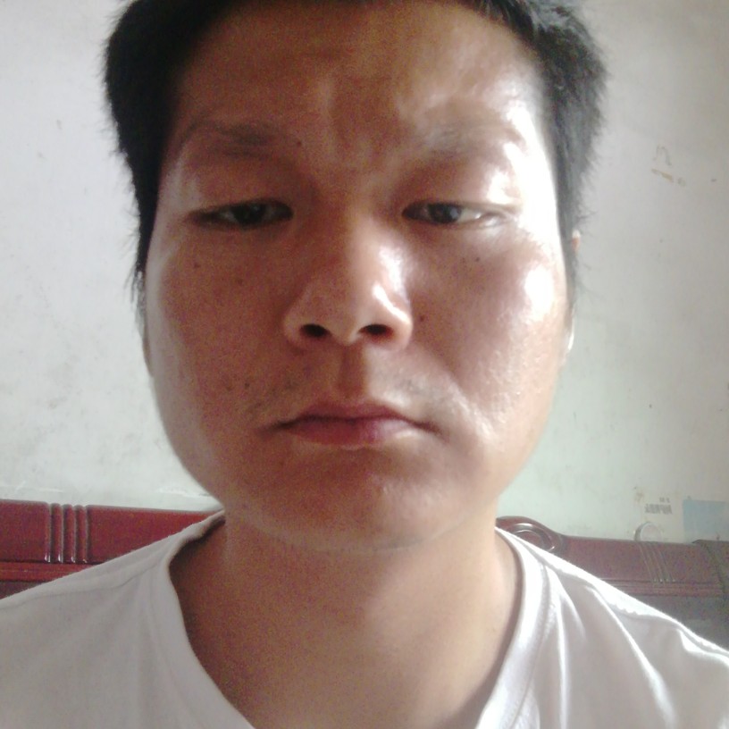 高挑给灰狼的照片