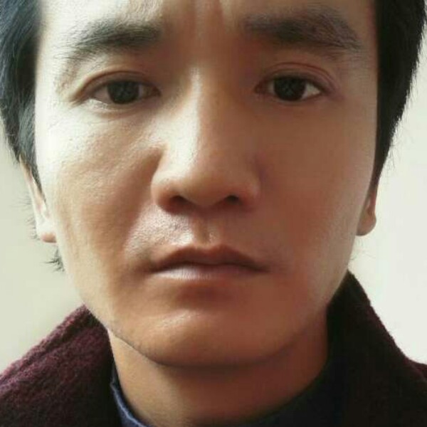 五十五等于啥的照片