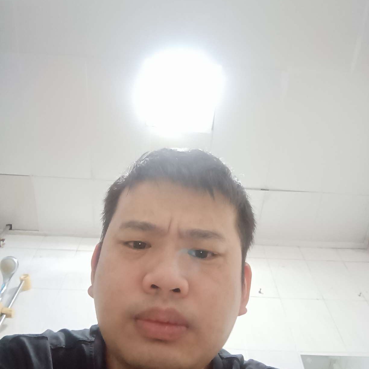 狗等于勤恳的照片