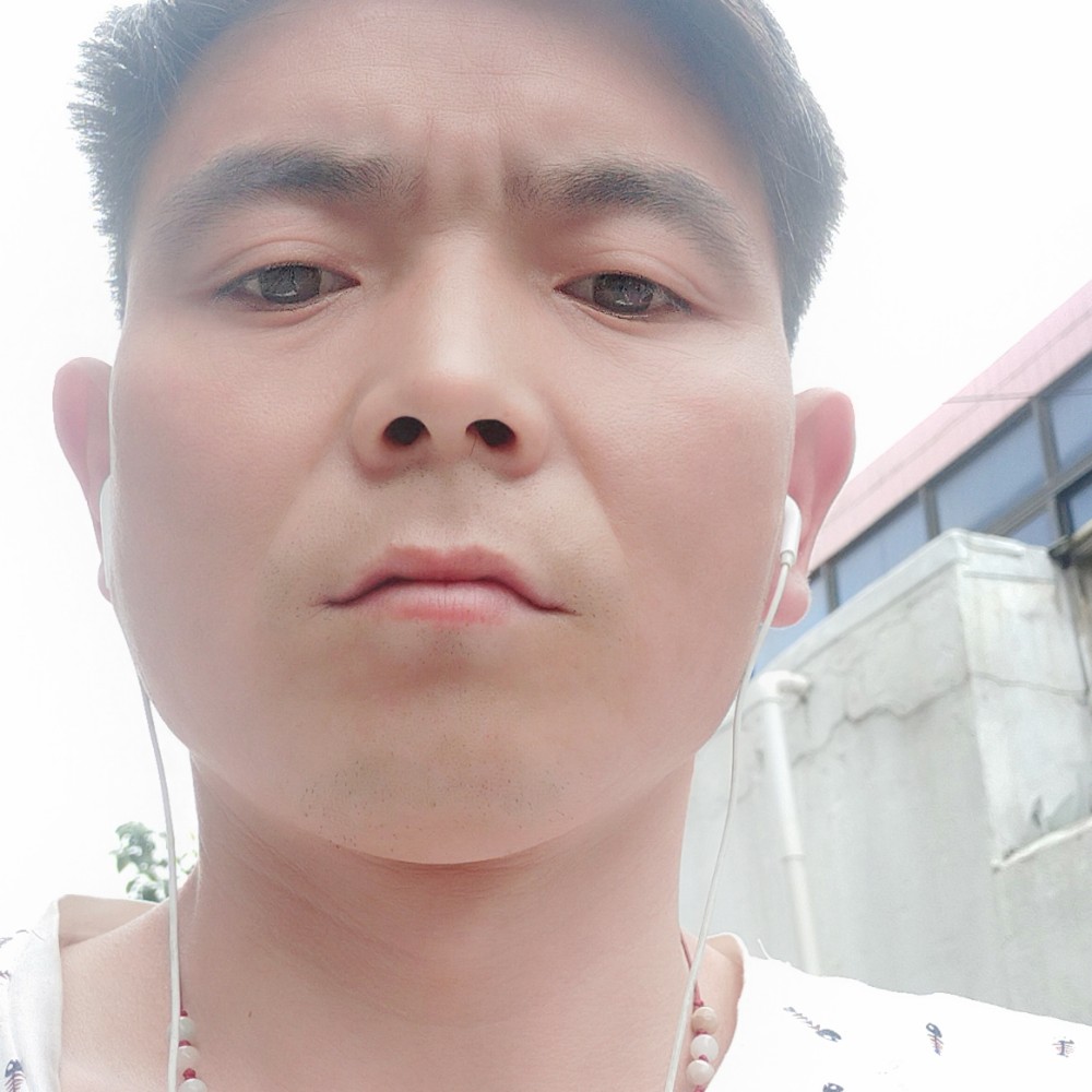 苗条放弃黄蜂的照片
