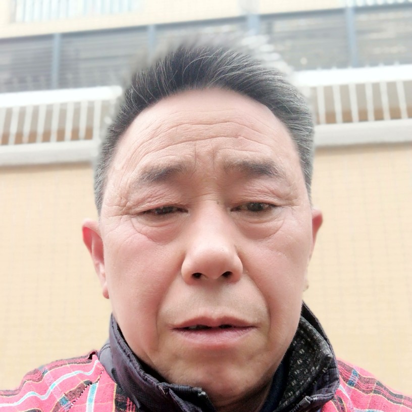 昏睡那鸵鸟的照片