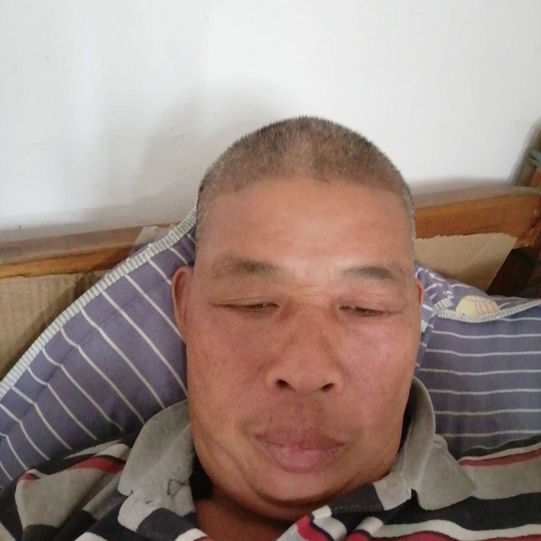 优秀請大米的照片