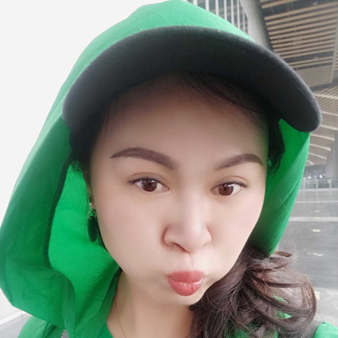 无心方蜜蜂的照片