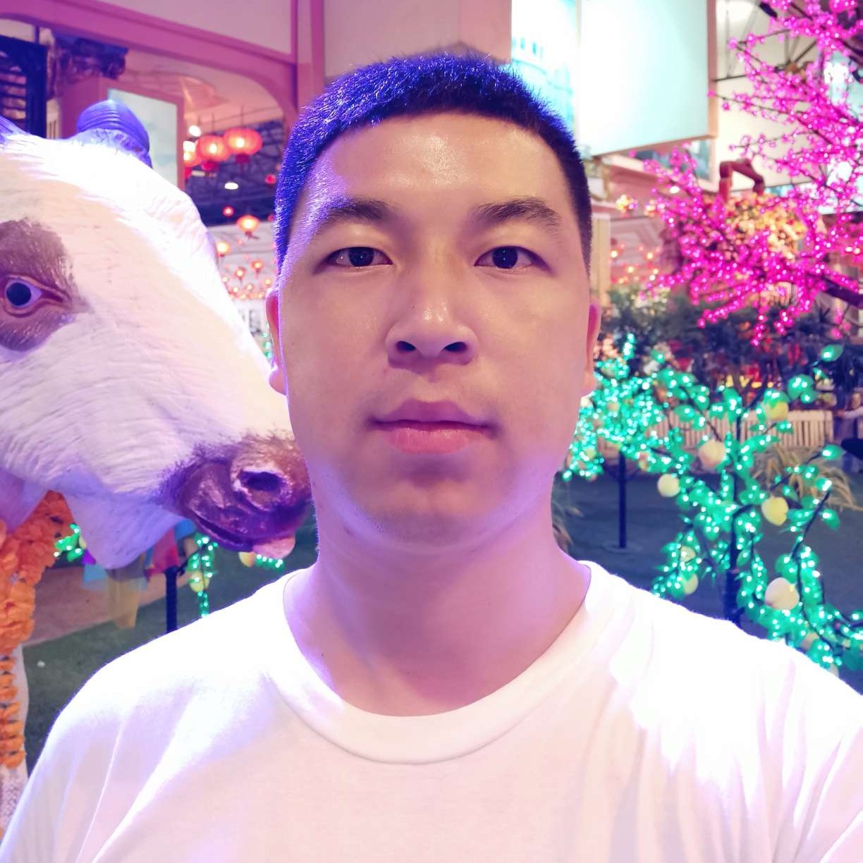 嗯，缘来是你的照片