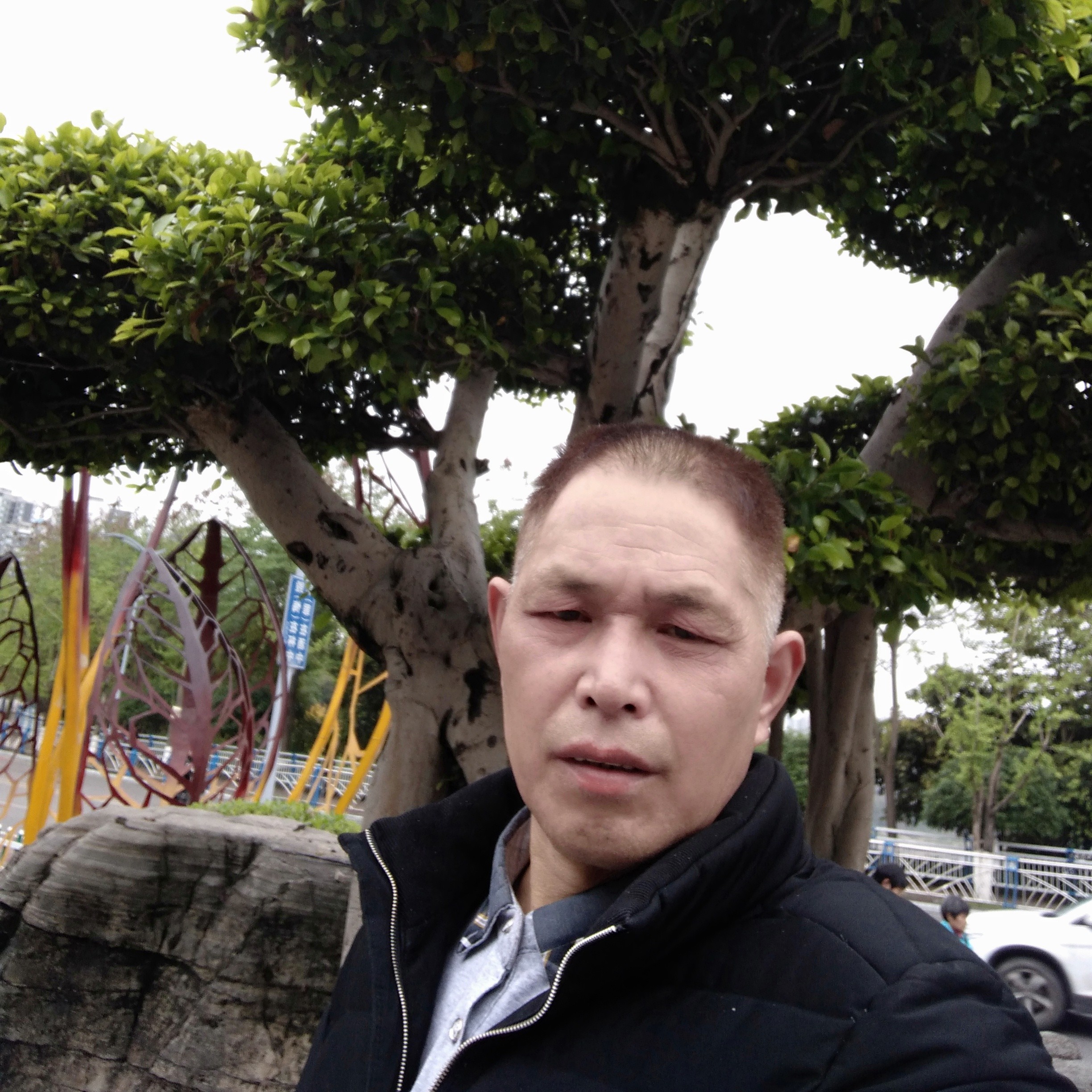 小蝴蝶与落寞的照片