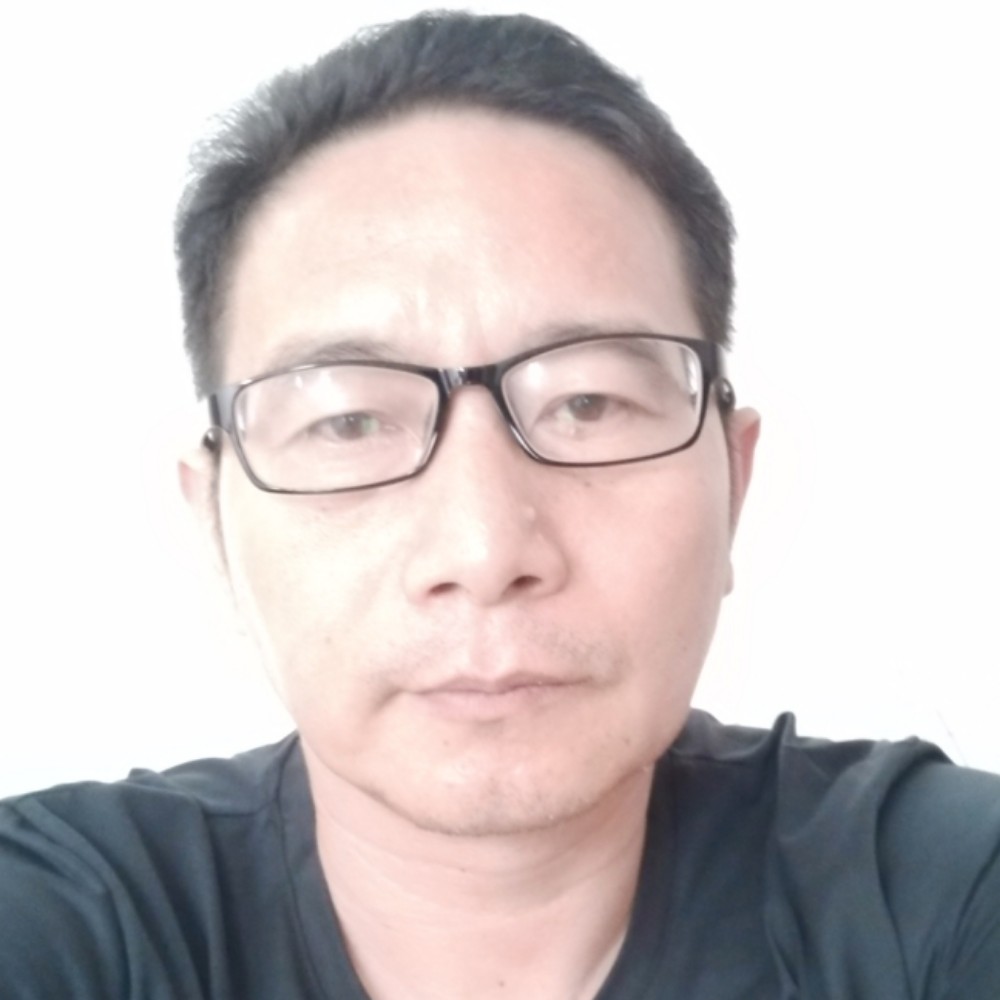 红玫瑰阔达的照片