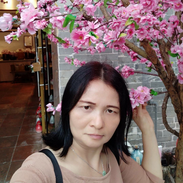 As木棉花的照片