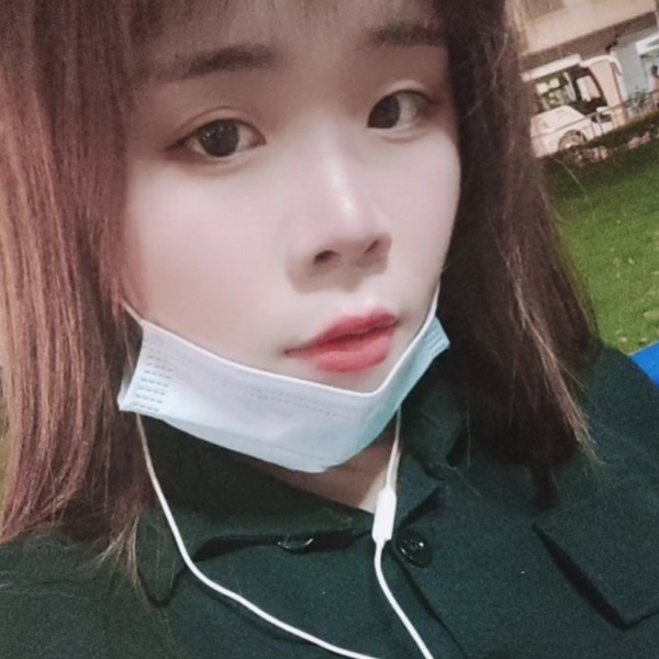 完美拾忆狗的照片