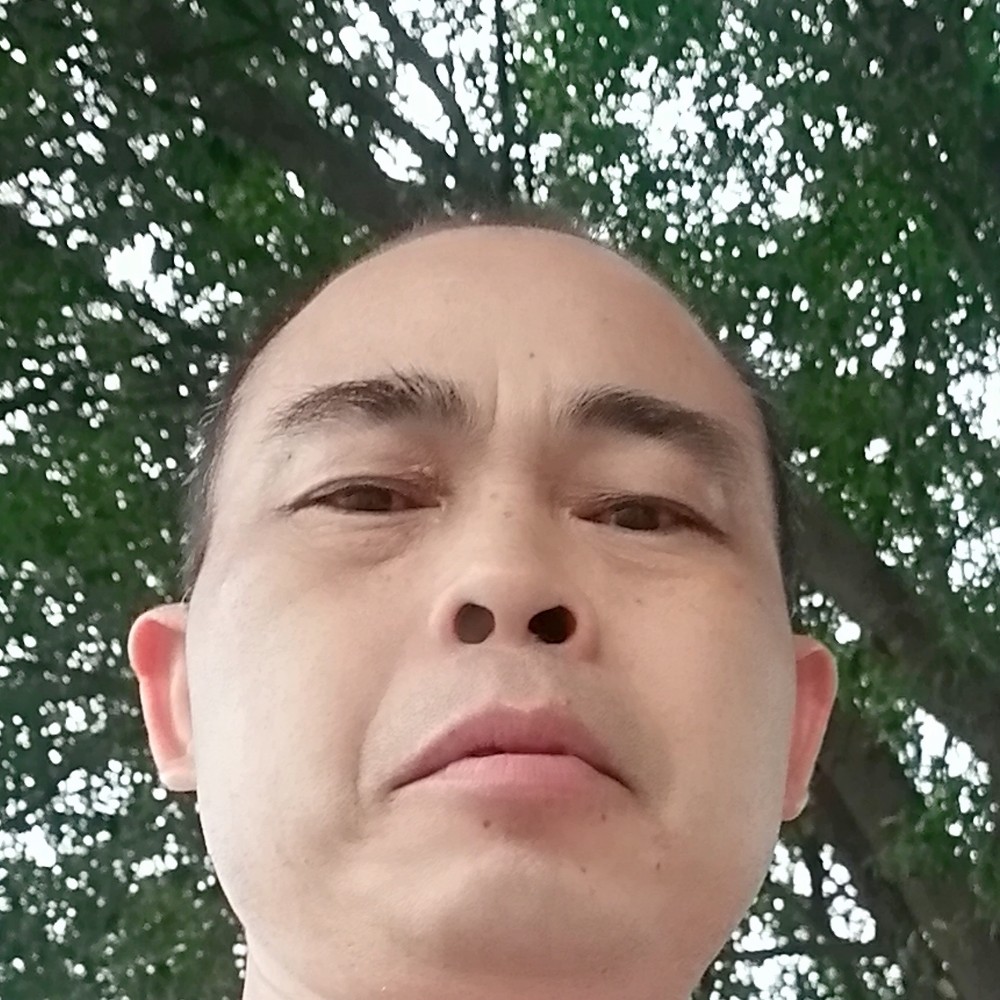 天涯寻像的照片