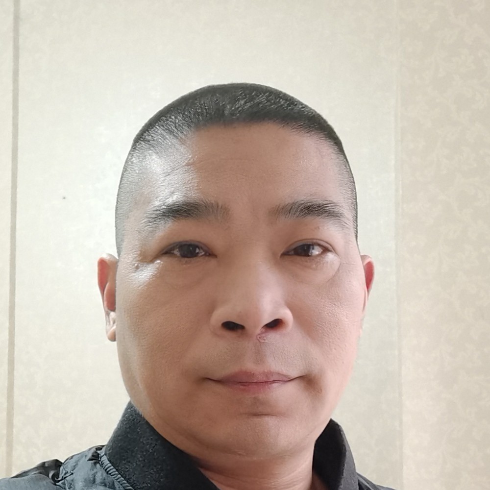 鱼等于正直的照片