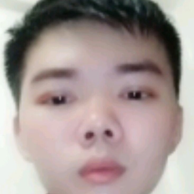 发夹挽手美好的照片